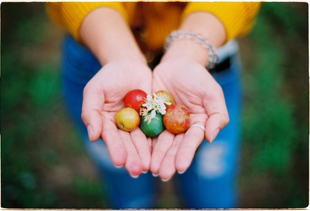 thank youの写真素材