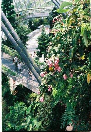 spring lifeの写真素材