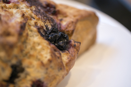 muffin and scornの写真素材