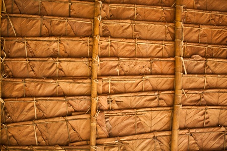 Leaves to Thatch on roofの写真素材