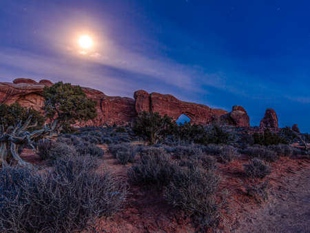Panoramic picture of impressive sandstone formations in Arches National Park at nightの写真素材