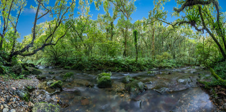 Long exposure panorama picture of a river flowing through a rain forest on the island of Taiwan...