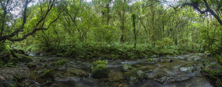 Long exposure panorama picture of a river flowing through a rain forest on the island of Taiwan