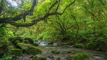 Long exposure panorama picture of a river flowing through a rain forest on the island of Taiwan