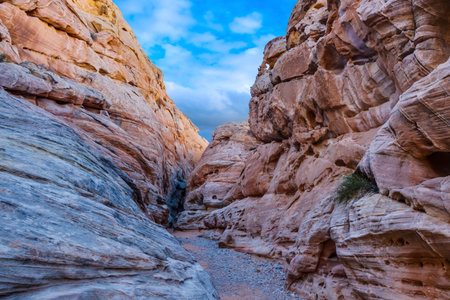 Panoramic picture of colorful rock formation in the valley of fire state parkの写真素材