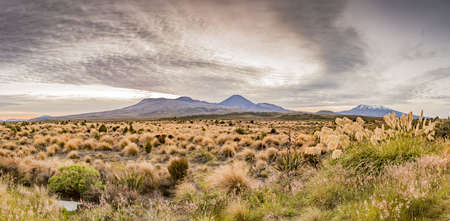 Picture of Mount Ngauruhoe and Mount Ruapehu in the Tongariro National Park on northern island of New Zealand in summerの写真素材