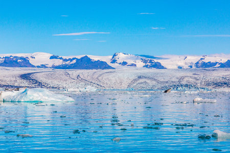 PanorPanoramic pictures over Joekularson glacier lagoon with frifting iceberg in summer