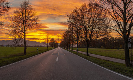 Image of a colorful and high-contrast sunrise with bright cloud formations along an avenue in the...