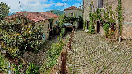 Picture of the romantic cobblestone access road to the historic center of the Croatian town of Motovun in summerの写真素材