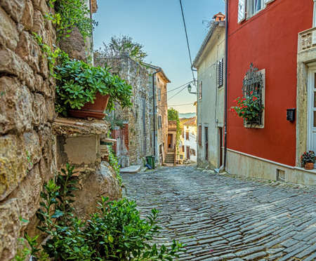 Picture of the romantic cobblestone access road to the historic center of the Croatian town of Motovun in summerの写真素材