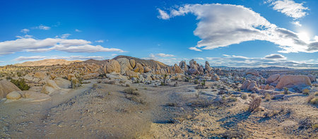 Picture of Arch Rock area in the Yoshua Tree National Park with cactus trees in California during...