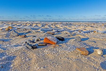Image of shells and stones on a North Sea beach in Denmark in winterの写真素材