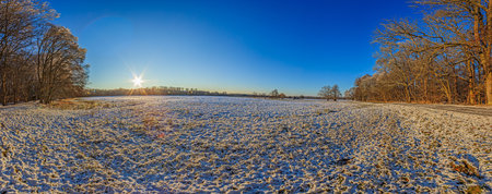 Panoramic image over snowy meadow with trees in evening lightの写真素材