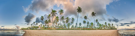 Panoramic image of a deserted beach in the Brazilian region of Bahia during the daytime