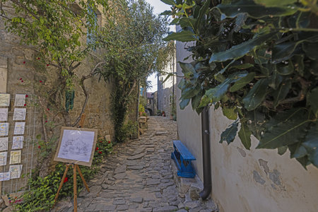 Picture from the historic town of Groznjan in Istria with idyllic cobbled streets and buildings made of natural stone during the dayの写真素材