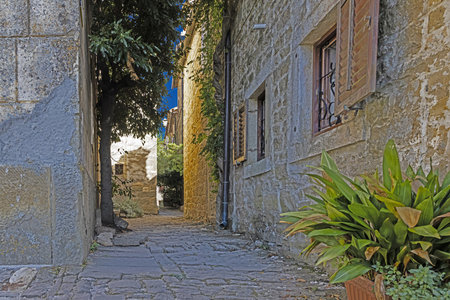 Picture from the historic town of Groznjan in Istria with idyllic cobbled streets and buildings made of natural stone during the dayの写真素材