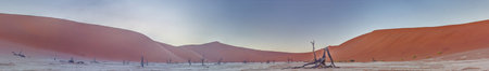 Panoramic picture of the Deadvlei salt pan in the Namib Desert with dead trees in front of red sand...