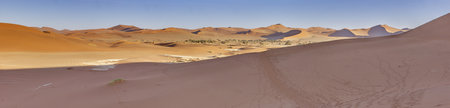 Panoramic picture of the red dunes of the Namib Desert with footprints in the sand against a blue sky in the evening light in summerの写真素材