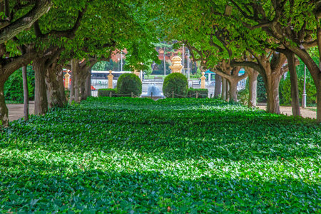 Impression from a well maintained garden with precisely cut bushes during the day in summerの写真素材