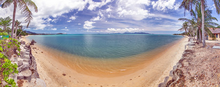 Panoramic picture of a deserted, palm-covered, tropical sandy beach in daylightの写真素材