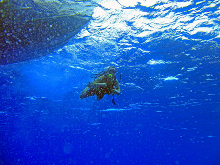 Scuba diver underwater with bubbles and sunlight reflections in summerの写真素材