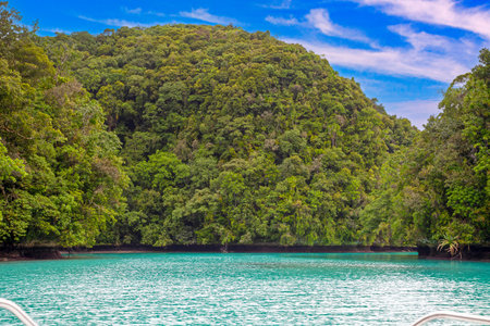 Tropical lagoon with turquoise water and lush rainforest in the background in Palauの写真素材