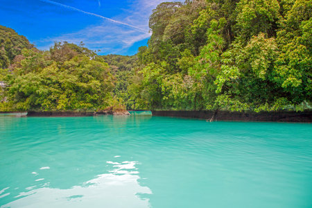 Tropical lagoon with turquoise water and lush rainforest in the background in Palauの写真素材