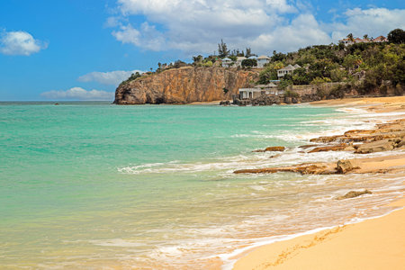 Tropical beach with golden sand and turquoise water under sunny blue skyの写真素材