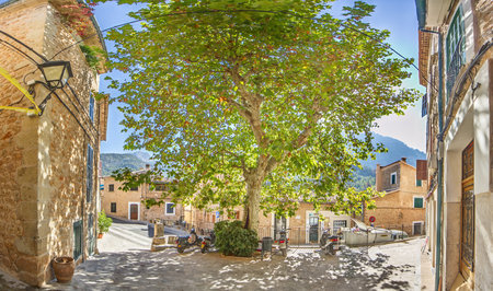 Sunny square with tree shade and stone buildings in a village in Mallorca