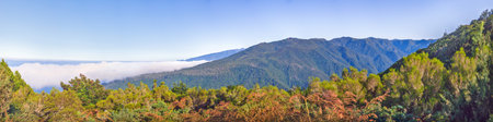 Panoramic view of green mountain forest above clouds on Madeira island with blue sky