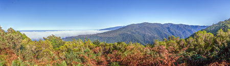 View of mountain valley covered with white clouds above green forest on Madeira island