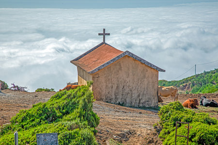 Aerial view of the natural lava rock pools and coastal village of Porto Moniz on Madeira island with deep blue Atlantic water.の写真素材