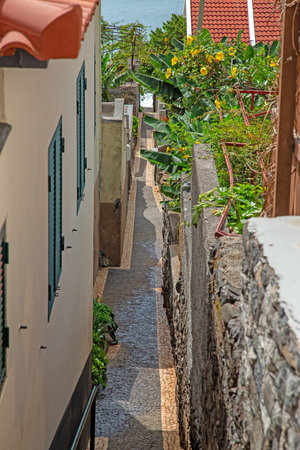 Traditional narrow alley with stone walls and flowers in seaside village on Madeiraの写真素材