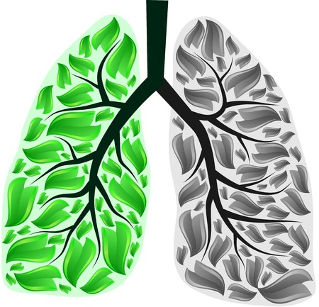 Green and gray human lungs.のイラスト素材
