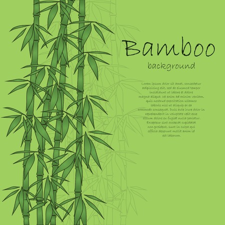 Bamboo backgroundのイラスト素材
