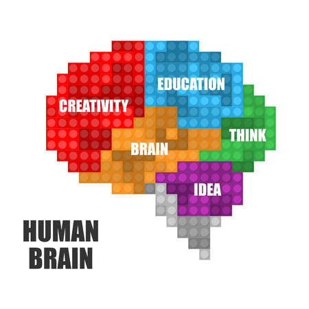 Human brain constractor kitのイラスト素材