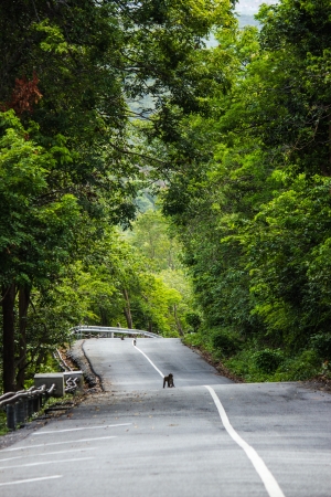 roadの写真素材