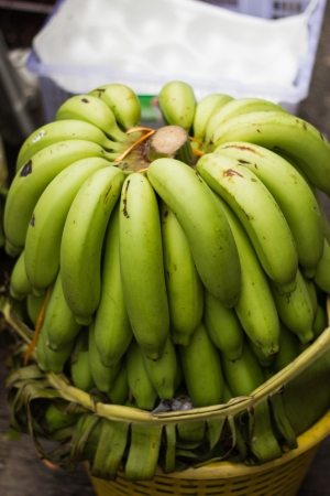 golden banana after export from gardenの写真素材