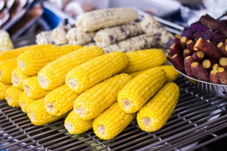 corn in the marketの写真素材