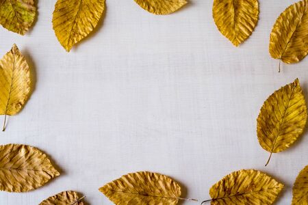 Yellow autumn dry leaves frame on white wooden rustic background. Space for text.の写真素材