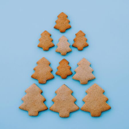 Christmas tree made of homemade shortbread cookies on light blue background.の写真素材