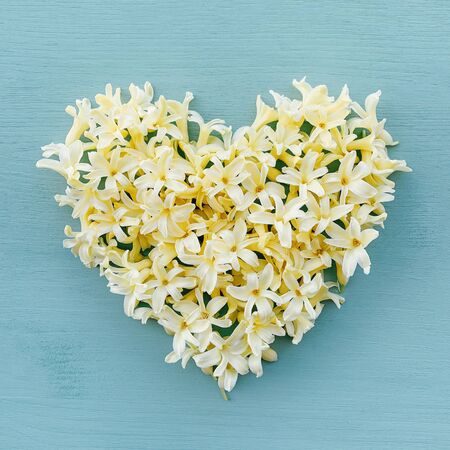 Heart made of yellow hyacinth petals on pastel azure background, top view. Flat lay style. Love concept. Spring blossoms. Happy Easter, Mother's day.の写真素材