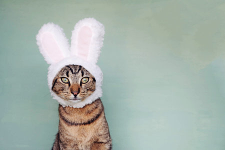 Happy Easter. Mackerel tabby kitty wearing funny bunny ears and looking up against pastel green...