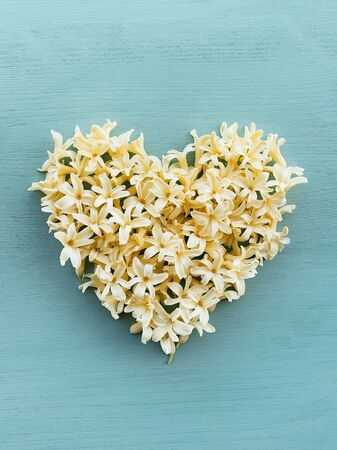 Heart made of yellow hyacinth petals on pastel azure background, top view. Flat lay style. Love concept. Spring blossoms. Happy Easter, Mother's day.の写真素材