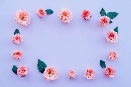Frame made of fresh pink roses in full bloom and green leaves on pastel violet background. Bunch of flowers. Copy space. Top view, flat lay. Valentine's day or Mother's day, love concept.の写真素材