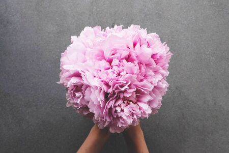 Hands holding beautiful bunch of fresh fluffy pink peonies in full bloom on grey concrete background. Bouquet of blooming flowers. Copy space, close-up, top view. Mother's day, Birthday card.の写真素材