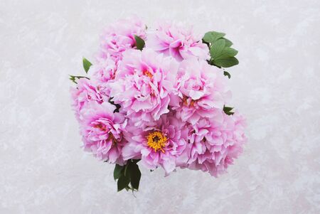 Beautiful bouquet of fresh pink peony flowers in full bloom on beige background, close up, top view. Copy space. Mother's day, Birthday card. Still life with summer blossoms.の写真素材