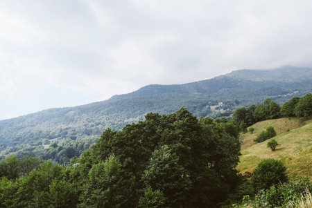 Beautiful mountain view with green hills and dry yellow grass in cloudy day. Autumn landscape...