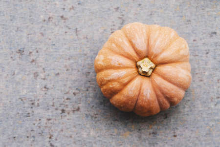 Orange pumpkin on gray background with copy space.の写真素材