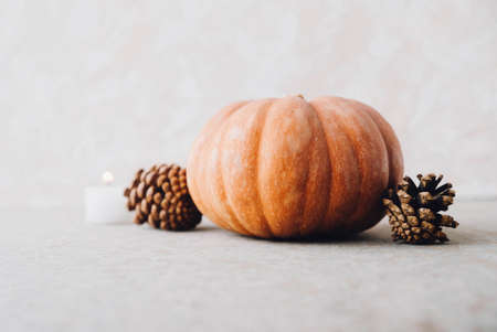 Cozy autumn still life with cute orange pumpkin, pine cones and candle light. Copy space for text. Holiday background for Halloween or Thanksgiving.の写真素材
